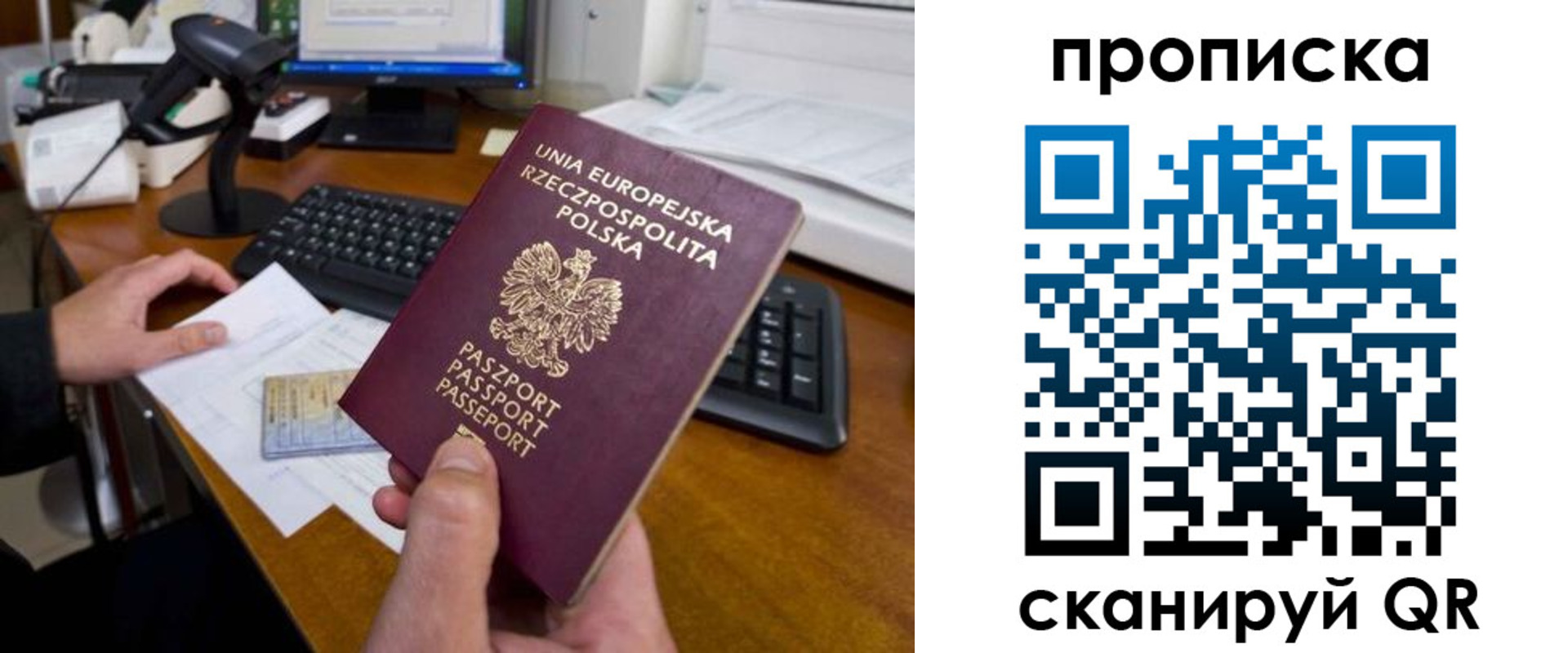 прописка для школы в Геленджике